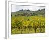 Autumn Vineyards with Bright Color with Villa at on Hill-Terry Eggers-Framed Photographic Print