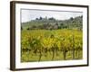 Autumn Vineyards with Bright Color with Villa at on Hill-Terry Eggers-Framed Photographic Print