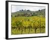 Autumn Vineyards with Bright Color with Villa at on Hill-Terry Eggers-Framed Photographic Print