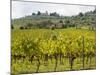 Autumn Vineyards with Bright Color with Villa at on Hill-Terry Eggers-Mounted Photographic Print