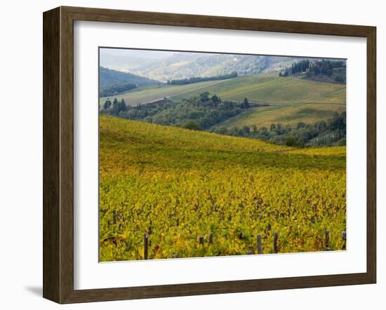 Autumn Vineyards with Bright Color-Terry Eggers-Framed Photographic Print