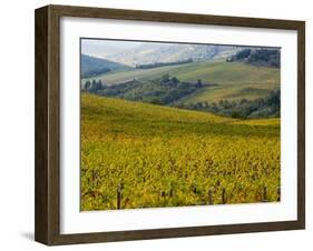 Autumn Vineyards with Bright Color-Terry Eggers-Framed Photographic Print