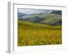 Autumn Vineyards with Bright Color-Terry Eggers-Framed Photographic Print