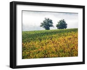 Autumn Vineyards with Bright Color-Terry Eggers-Framed Photographic Print