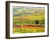 Autumn Vinyards in Full Color near Montepulciano-Terry Eggers-Framed Photographic Print