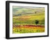 Autumn Vinyards in Full Color near Montepulciano-Terry Eggers-Framed Photographic Print
