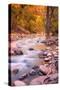 Autumn Virgin River Portrait, Zion National Park-Vincent James-Stretched Canvas