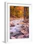 Autumn Virgin River Portrait, Zion National Park-Vincent James-Framed Photographic Print