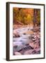 Autumn Virgin River Portrait, Zion National Park-Vincent James-Framed Photographic Print