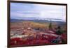 Autumn Vista, Cadillac Mountain, Maine-George Oze-Framed Photographic Print