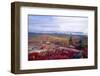 Autumn Vista, Cadillac Mountain, Maine-George Oze-Framed Photographic Print