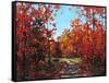 Autumn Walk in the Hudson Valley-Patty Baker-Framed Stretched Canvas