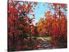 Autumn Walk in the Hudson Valley-Patty Baker-Stretched Canvas