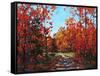Autumn Walk in the Hudson Valley-Patty Baker-Framed Stretched Canvas