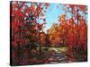 Autumn Walk in the Hudson Valley-Patty Baker-Stretched Canvas