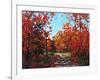 Autumn Walk in the Hudson Valley-Patty Baker-Framed Art Print