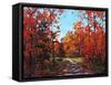 Autumn Walk in the Hudson Valley-Patty Baker-Framed Stretched Canvas