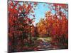 Autumn Walk in the Hudson Valley-Patty Baker-Mounted Art Print