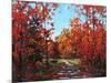 Autumn Walk in the Hudson Valley-Patty Baker-Mounted Art Print