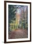 Autumn Walk Through the White Mountains, New Hampshire-Vincent James-Framed Premium Photographic Print