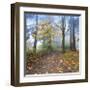 Autumn Walk-Jim Nilsen-Framed Giclee Print