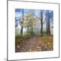 Autumn Walk-Jim Nilsen-Mounted Giclee Print