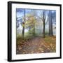 Autumn Walk-Jim Nilsen-Framed Giclee Print