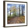 Autumn Walk-Jim Nilsen-Framed Giclee Print