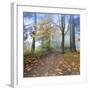 Autumn Walk-Jim Nilsen-Framed Giclee Print