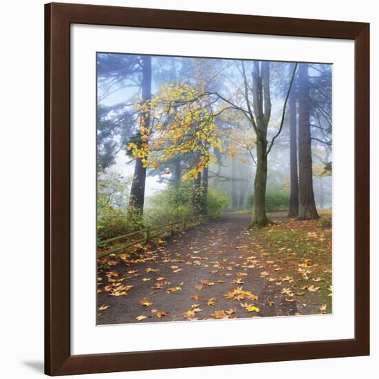 Autumn Walk-Jim Nilsen-Framed Giclee Print