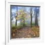 Autumn Walk-Jim Nilsen-Framed Giclee Print