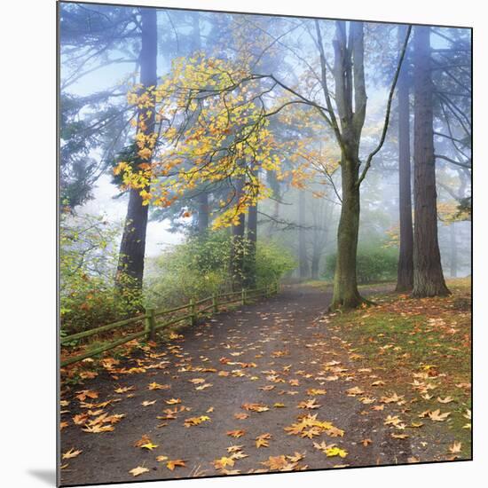 Autumn Walk-Jim Nilsen-Mounted Giclee Print