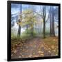 Autumn Walk-Jim Nilsen-Framed Giclee Print