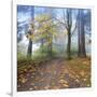 Autumn Walk-Jim Nilsen-Framed Giclee Print