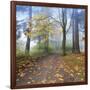 Autumn Walk-Jim Nilsen-Framed Giclee Print