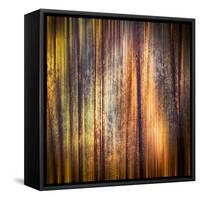 Autumn Walk-Ursula Abresch-Framed Stretched Canvas