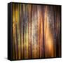 Autumn Walk-Ursula Abresch-Framed Stretched Canvas