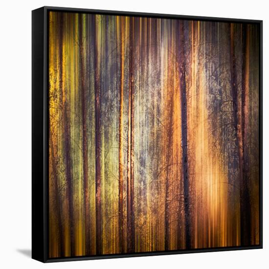 Autumn Walk-Ursula Abresch-Framed Stretched Canvas