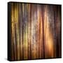 Autumn Walk-Ursula Abresch-Framed Stretched Canvas