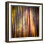 Autumn Walk-Ursula Abresch-Framed Photographic Print