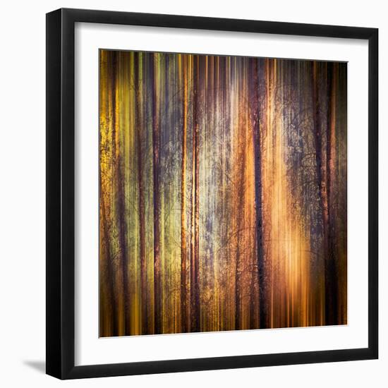 Autumn Walk-Ursula Abresch-Framed Photographic Print