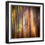 Autumn Walk-Ursula Abresch-Framed Photographic Print