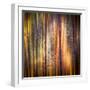 Autumn Walk-Ursula Abresch-Framed Photographic Print