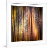 Autumn Walk-Ursula Abresch-Framed Photographic Print