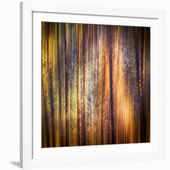 Autumn Walk-Ursula Abresch-Framed Photographic Print