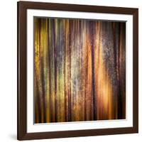 Autumn Walk-Ursula Abresch-Framed Photographic Print