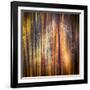 Autumn Walk-Ursula Abresch-Framed Photographic Print