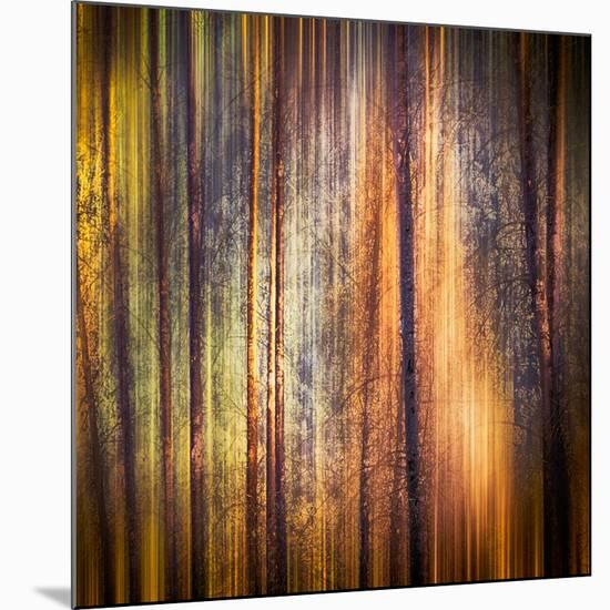 Autumn Walk-Ursula Abresch-Mounted Photographic Print