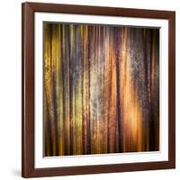 Autumn Walk-Ursula Abresch-Framed Photographic Print