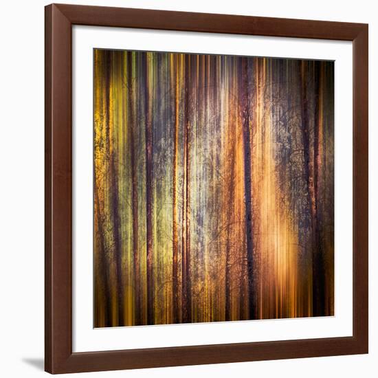 Autumn Walk-Ursula Abresch-Framed Photographic Print